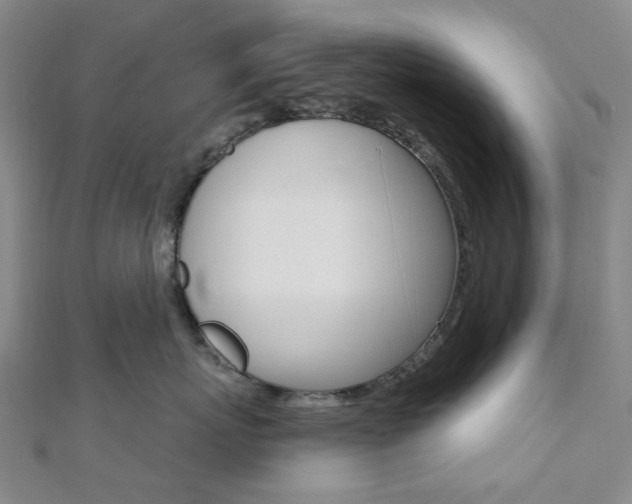 X0000112060767200908041011