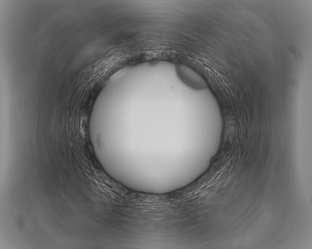 X0000112060770200908041010