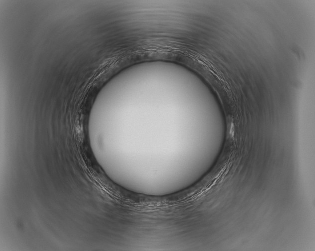 X0000112060771200908041010