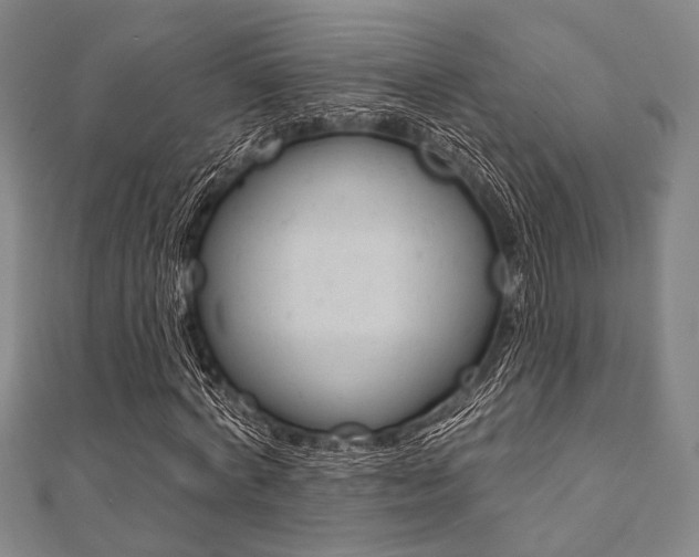 X0000112060772200908041010