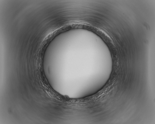 X0000112060775200908041010