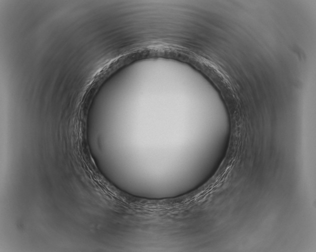 X0000112060776200908041010