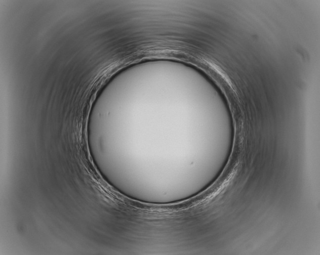 X0000112060777200908041010