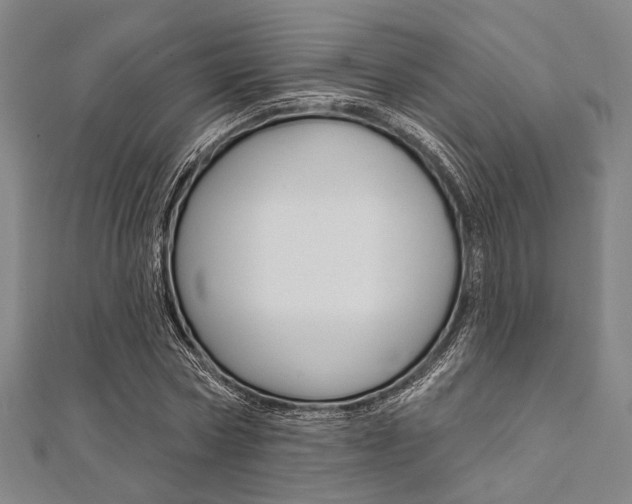 X0000112060778200908041010