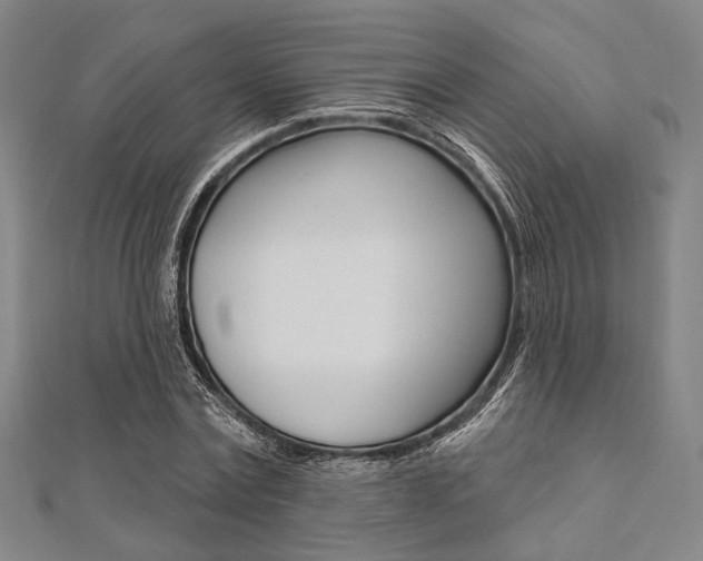 X0000112060779200908041010