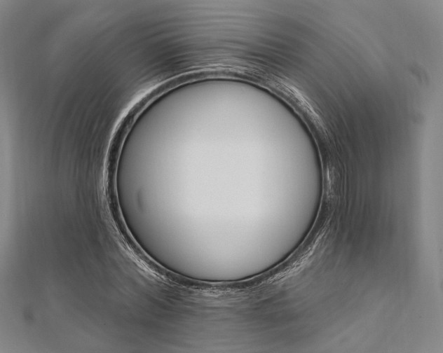 X0000112060780200908041010