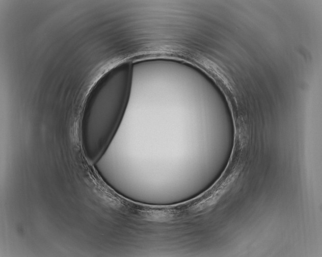 X0000112060781200908041010