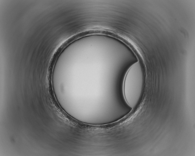 X0000112060783200908041010