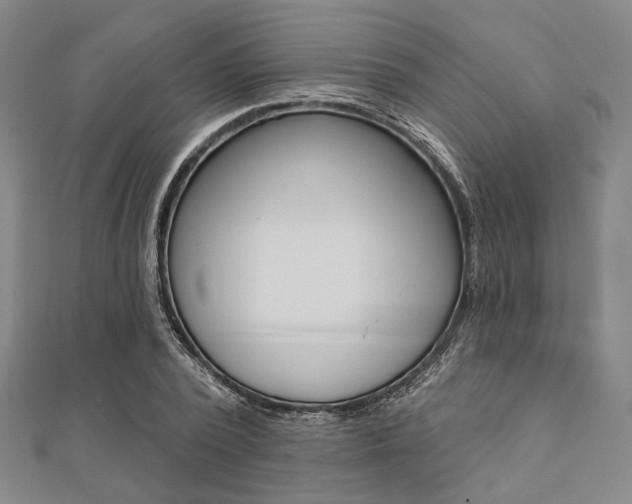 X0000112060784200908041010
