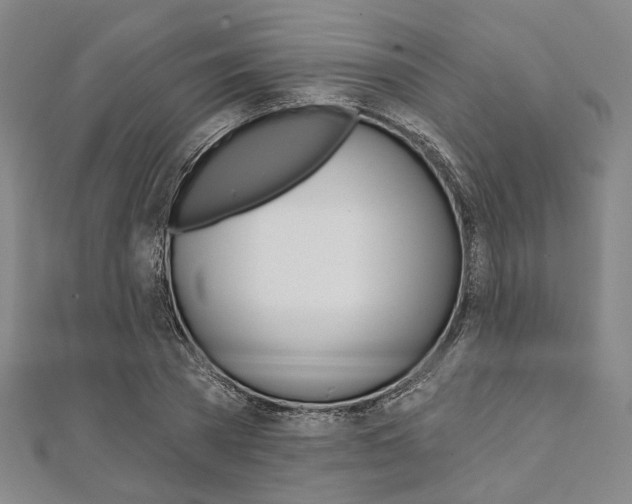 X0000112060785200908041010