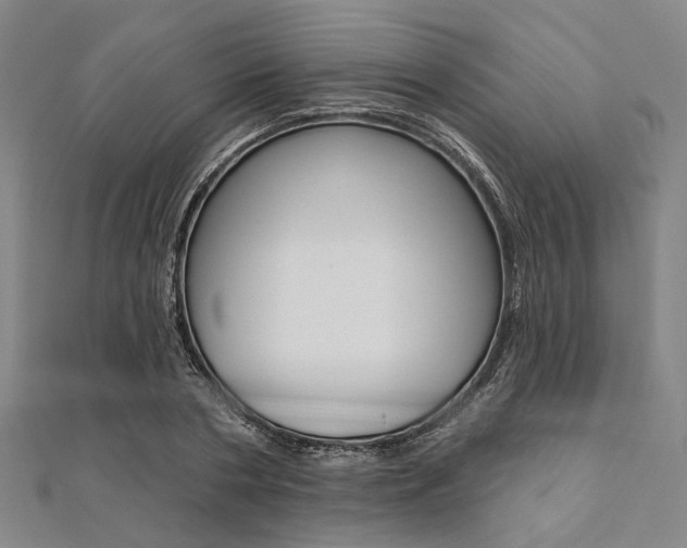 X0000112060786200908041010