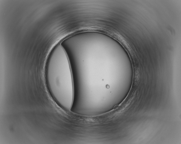 X0000112060787200908041010