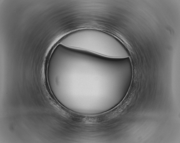 X0000112060788200908041010