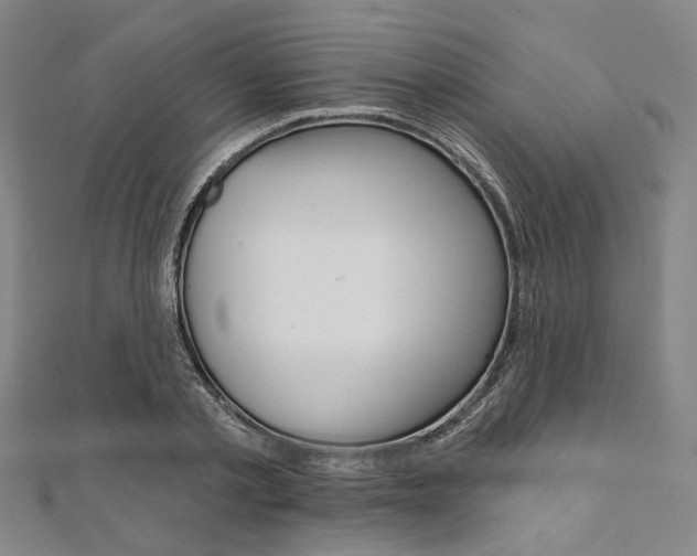 X0000112060789200908041010