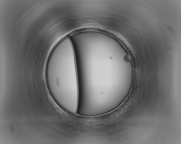 X0000112060791200908041010