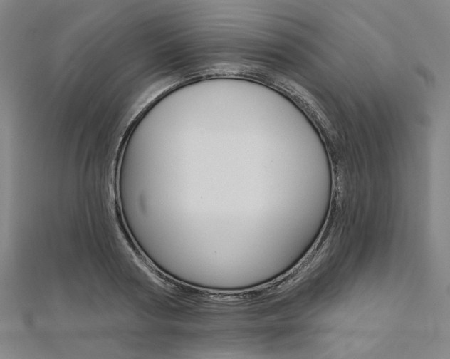 X0000112060794200908041010