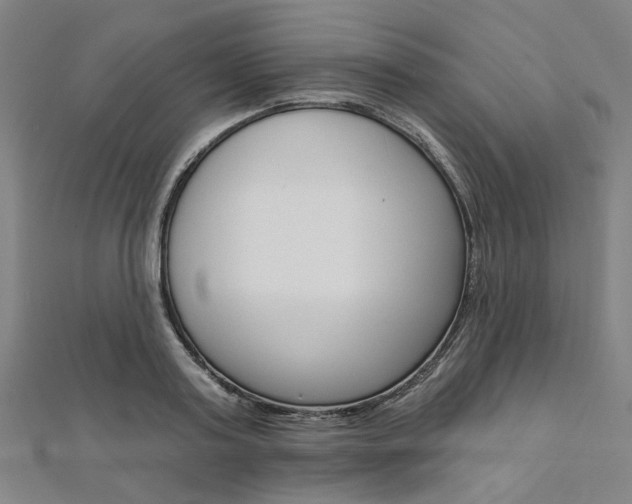 X0000112060795200908041010