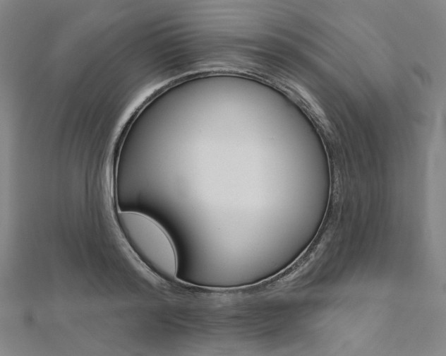 X0000112060796200908041010