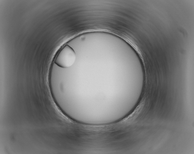 X0000112060797200908041010