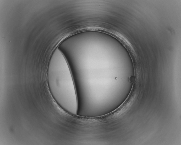 X0000112060801200908041010