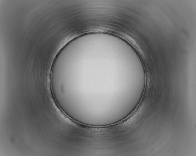 X0000112060802200908041010