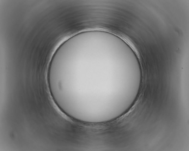 X0000112060805200908041010