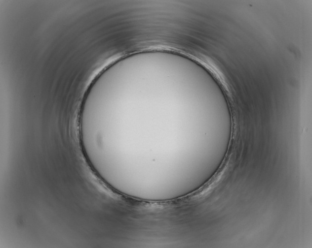 X0000112060806200908041010