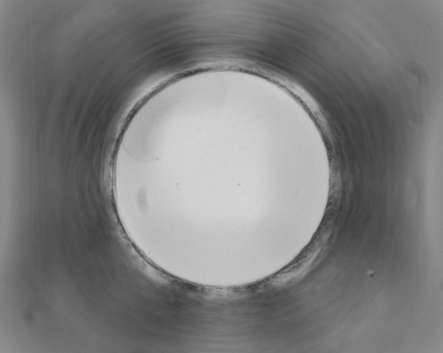 X0000112060807200908041010