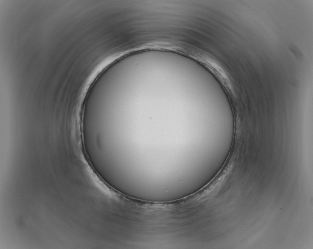 X0000112060808200908041010