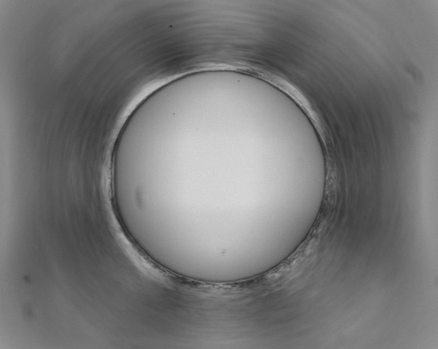 X0000112060811200908041010