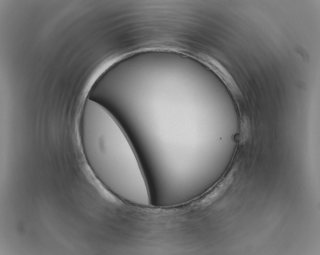 X0000112060812200908041010
