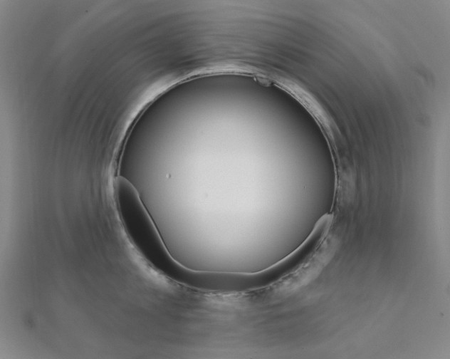 X0000112060813200908041010
