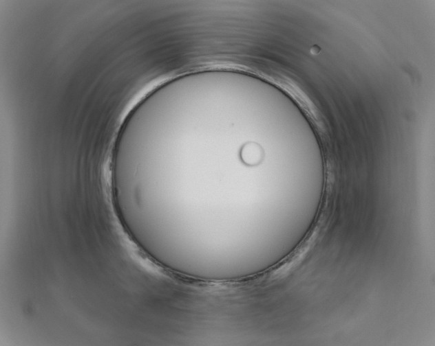 X0000112060814200908041009
