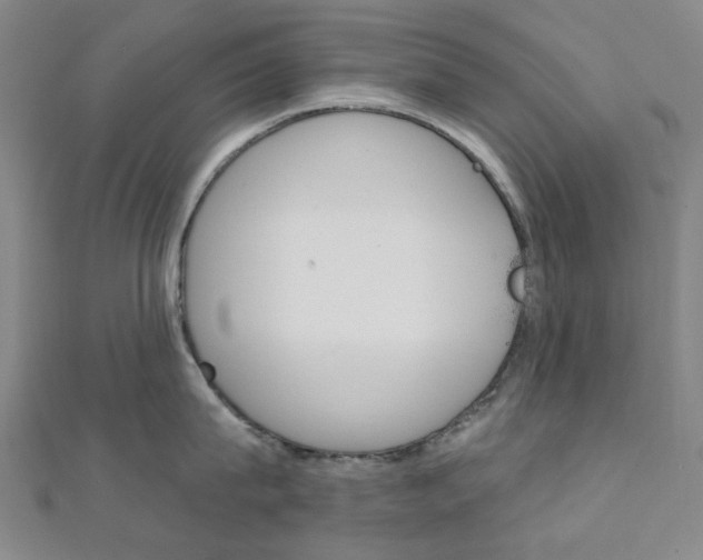 X0000112060815200908041009