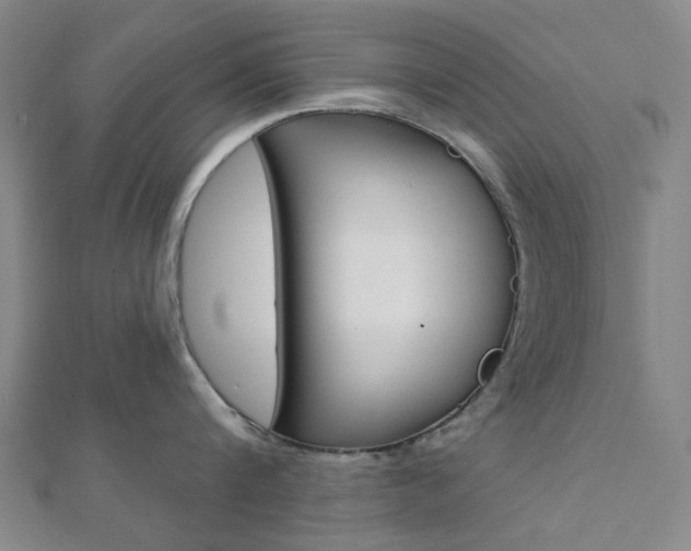 X0000112060816200908041009