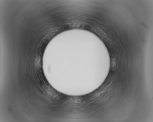X0000112060820200908041009