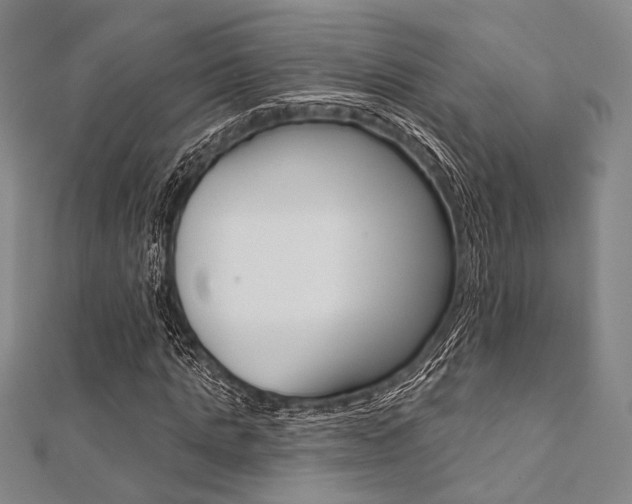 X0000112060821200908041009