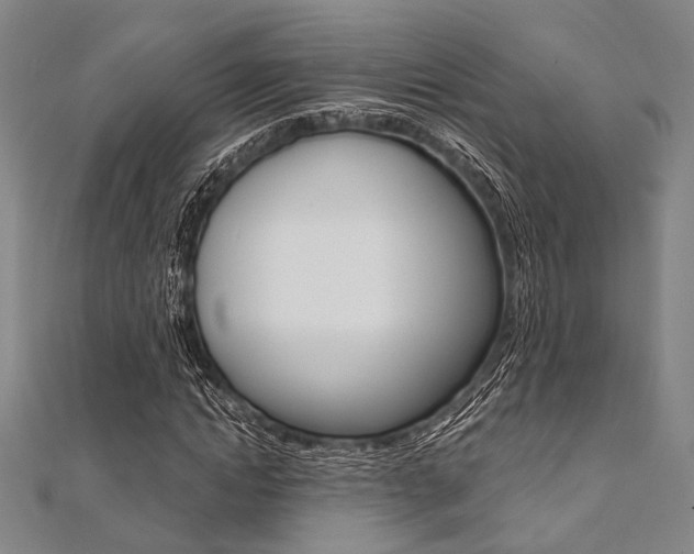 X0000112060822200908041009