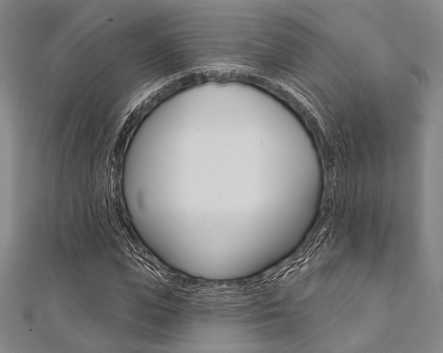 X0000112060823200908041009