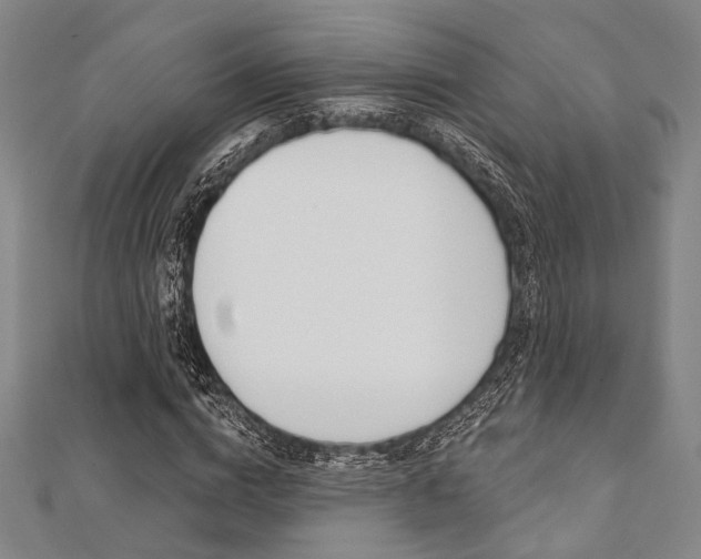 X0000112060824200908041009