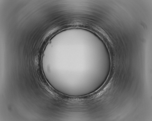 X0000112060826200908041009