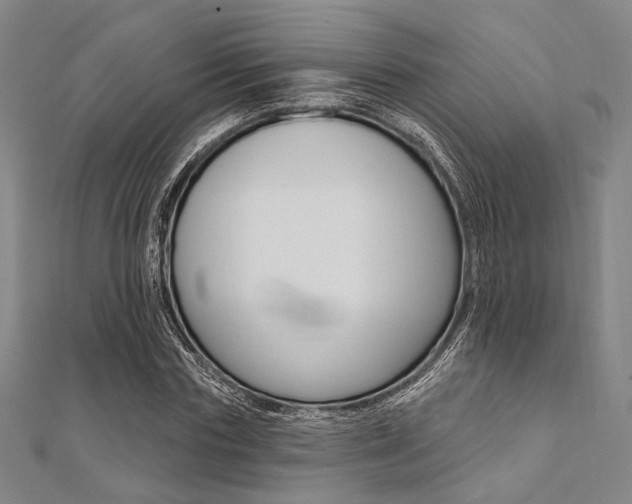 X0000112060827200908041009