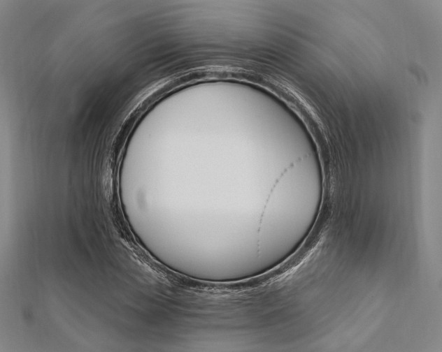 X0000112060829200908041009