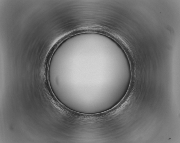 X0000112060830200908041009