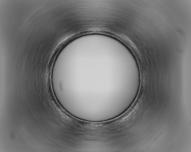 X0000112060831200908041009