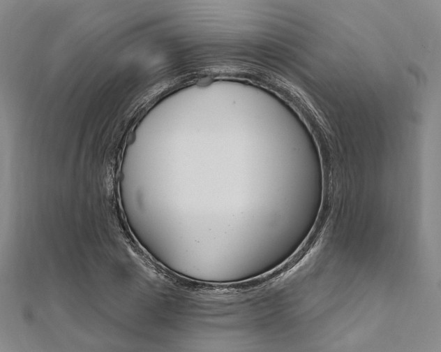 X0000112060833200908041009