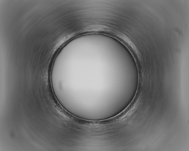 X0000112060834200908041009