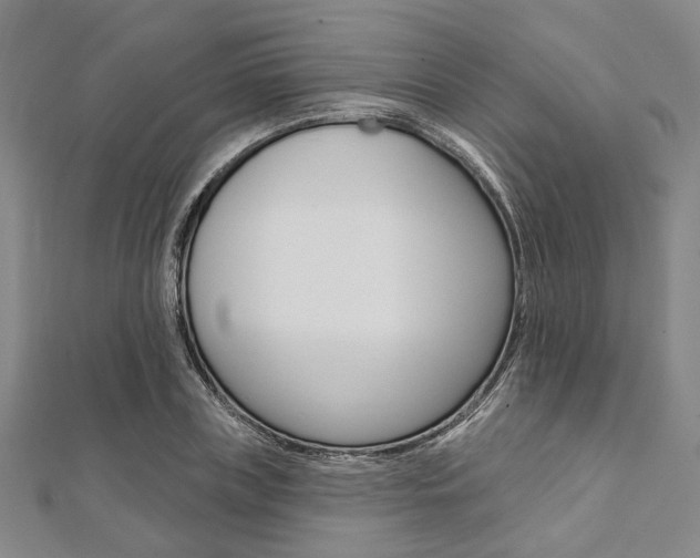 X0000112060835200908041009
