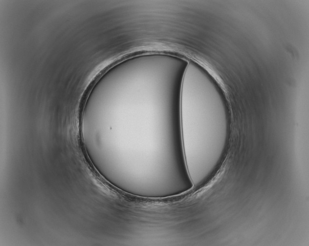 X0000112060837200908041009