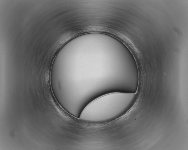 X0000112060841200908041009